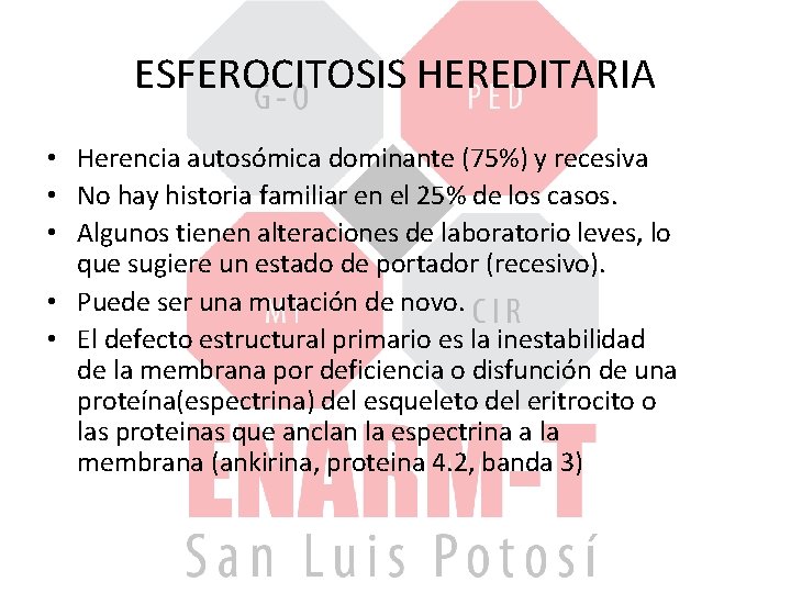 ESFEROCITOSIS HEREDITARIA • Herencia autosómica dominante (75%) y recesiva • No hay historia familiar