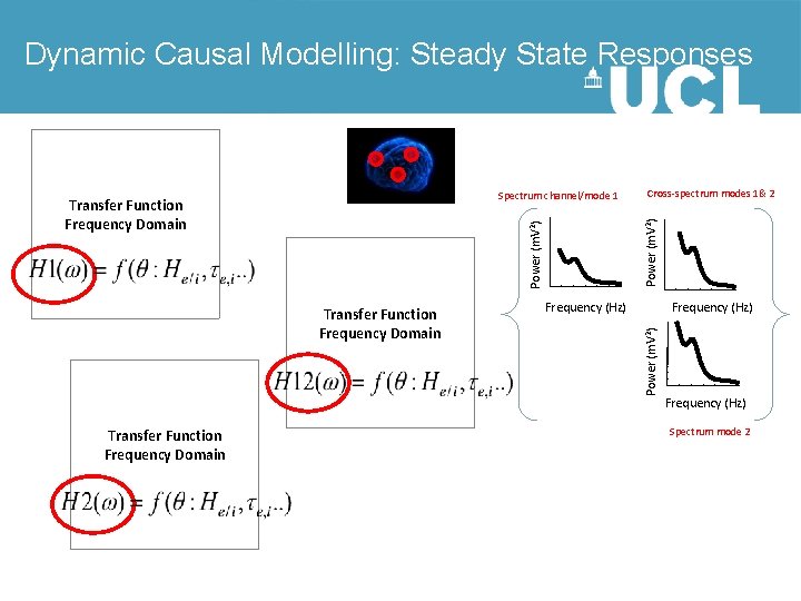 Dynamic Causal Modelling: Steady State Responses Power (m. V 2) Transfer Function Frequency Domain