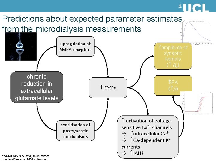 Predictions about expected parameter estimates from the microdialysis measurements upregulation of AMPA receptors chronic