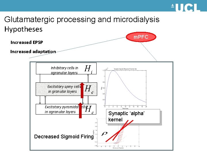 Glutamatergic processing and microdialysis Hypotheses m. PFC Increased EPSP Increased adaptation Inhibitory cells in