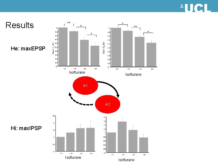 Results He: max. EPSP Isoflurane A 1 A 2 Hi: max. IPSP Isoflurane 