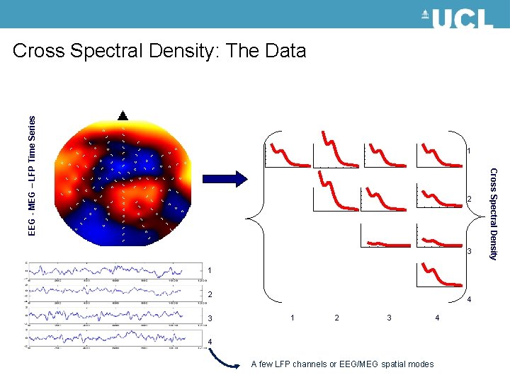 EEG - MEG – LFP Time Series Cross Spectral Density: The Data 1 3
