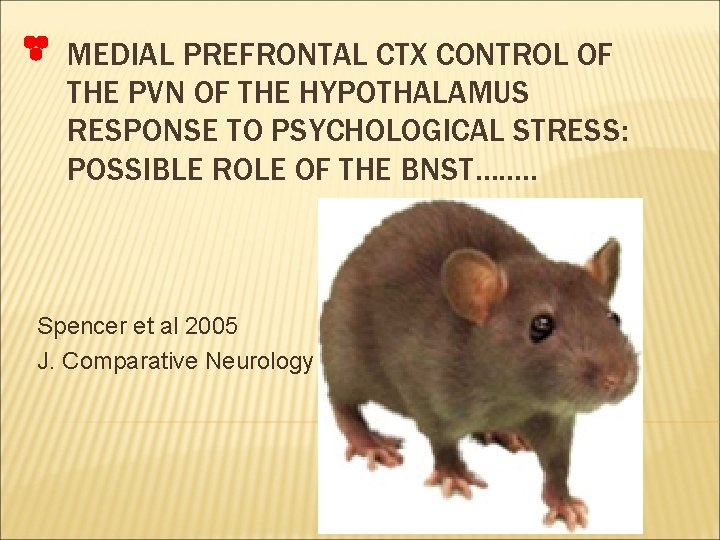 MEDIAL PREFRONTAL CTX CONTROL OF THE PVN OF THE HYPOTHALAMUS RESPONSE TO PSYCHOLOGICAL STRESS: