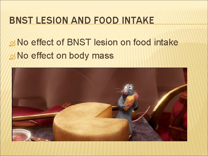 BNST LESION AND FOOD INTAKE No effect of BNST lesion on food intake No