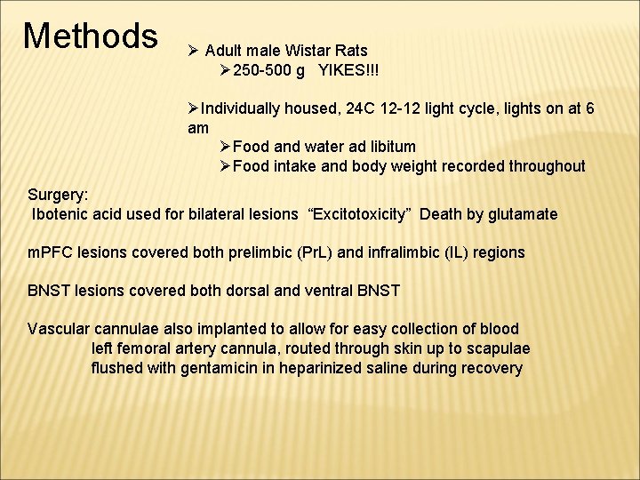 Methods Ø Adult male Wistar Rats Ø 250 -500 g YIKES!!! ØIndividually housed, 24