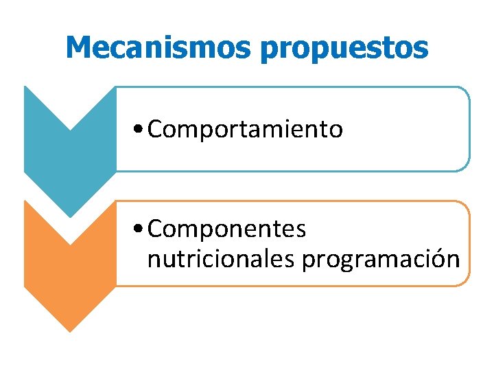 Mecanismos propuestos • Comportamiento • Componentes nutricionales programación 