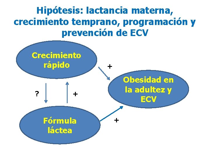 Hipótesis: lactancia materna, crecimiento temprano, programación y prevención de ECV Crecimiento rápido ? +