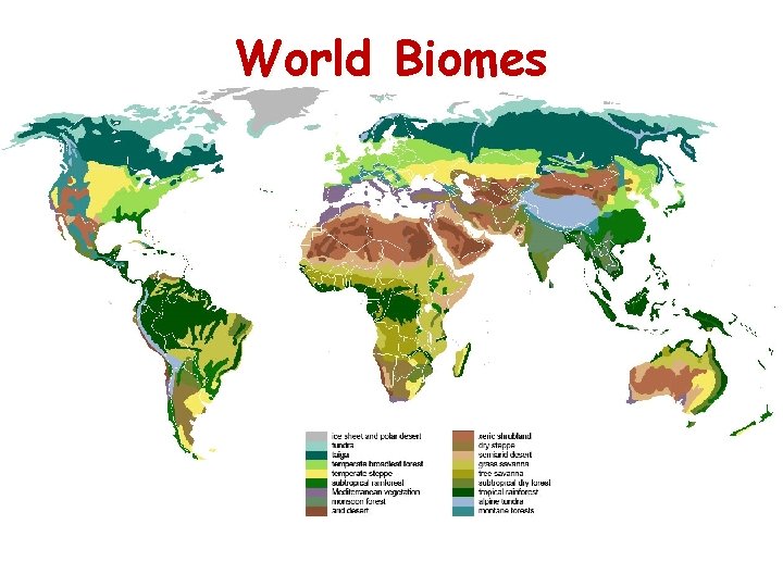 World Biomes 