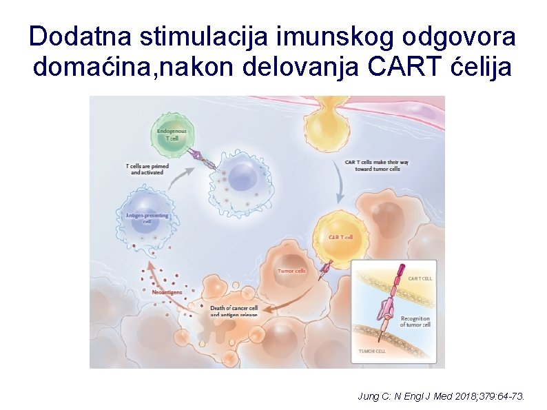 Dodatna stimulacija imunskog odgovora domaćina, nakon delovanja CART ćelija Jung C: N Engl J