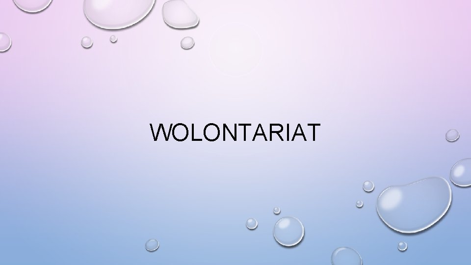 WOLONTARIAT 