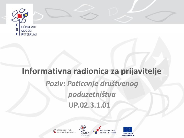 Informativna radionica za prijavitelje Poziv: Poticanje društvenog poduzetništva UP. 02. 3. 1. 01 EUROPSKA