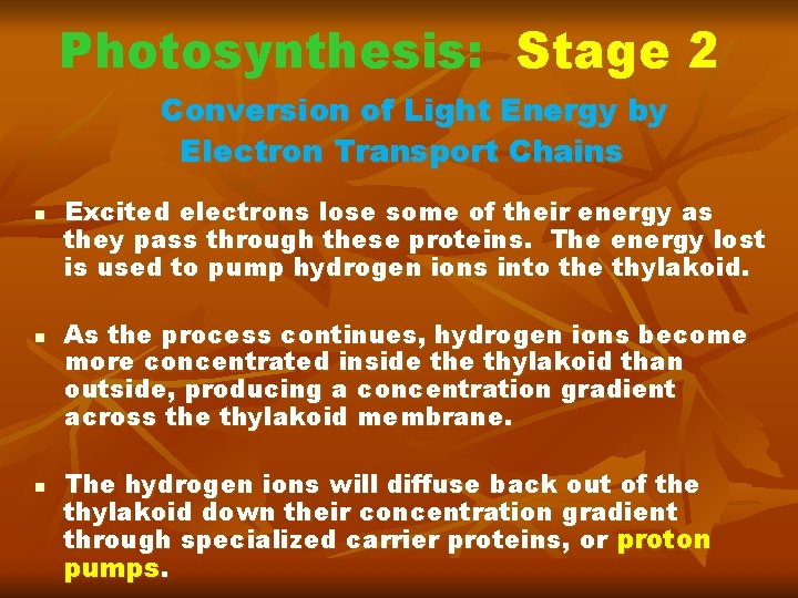 PHOTOSYNTHESIS and RESPIRATION UNIT 5 CHAPTER 5 SECTION