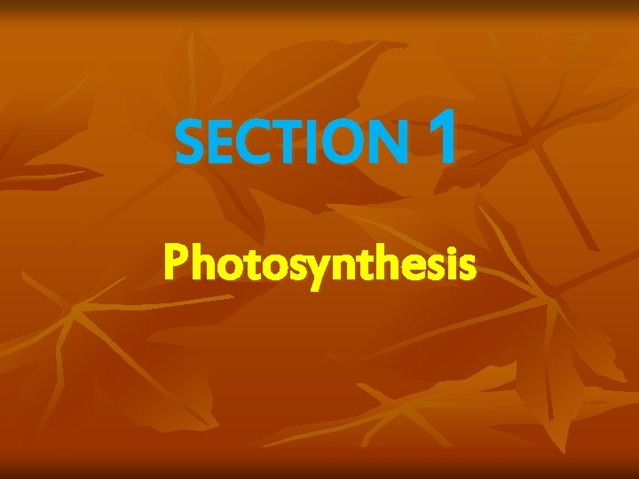PHOTOSYNTHESIS and RESPIRATION UNIT 5 CHAPTER 5 SECTION