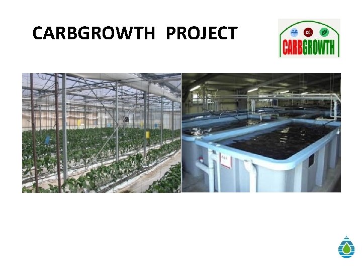 CARBGROWTH PROJECT 