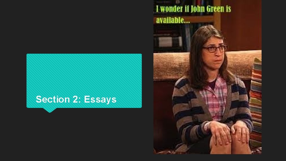 Section 2: Essays 