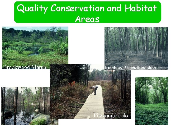 Quality Conservation and Habitat Areas Brookwood Marsh Rainbow Beach/floodplain Fitzgerald Lake 