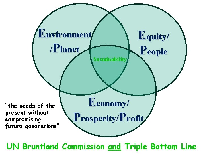 Environment /Planet Sustainability “the needs of the present without compromising… future generations” Equity/ People