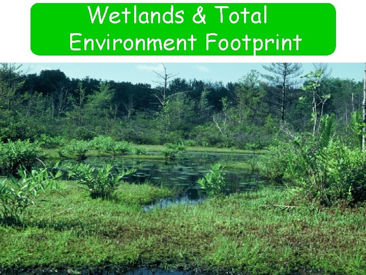 Wetlands & Total Environment Footprint 