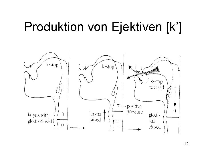 Produktion von Ejektiven [kʼ] 12 