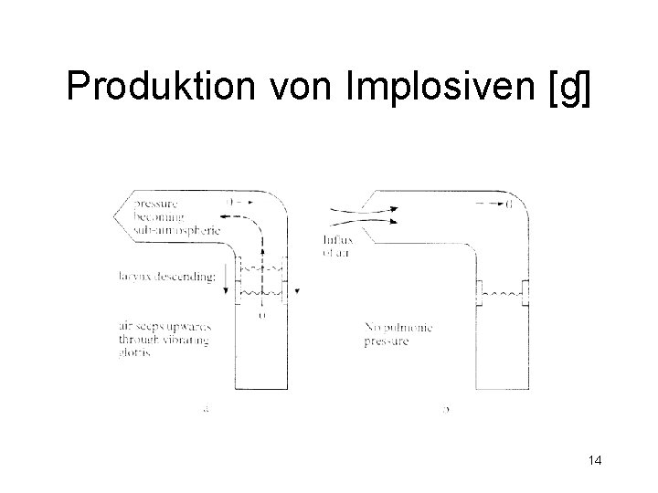 Produktion von Implosiven [ɠ] 14 