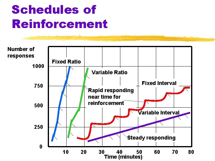 Schedules of Reinforcement Number of responses 1000 Fixed Ratio Variable Ratio Fixed Interval 750