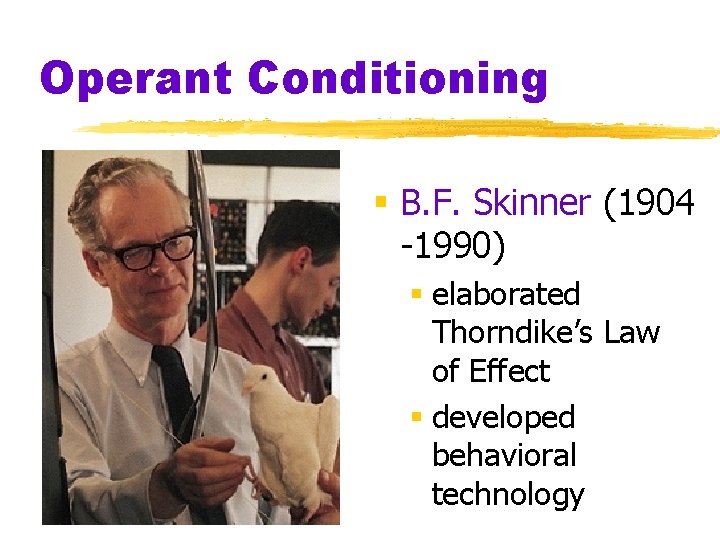 Operant Conditioning § B. F. Skinner (1904 -1990) § elaborated Thorndike’s Law of Effect