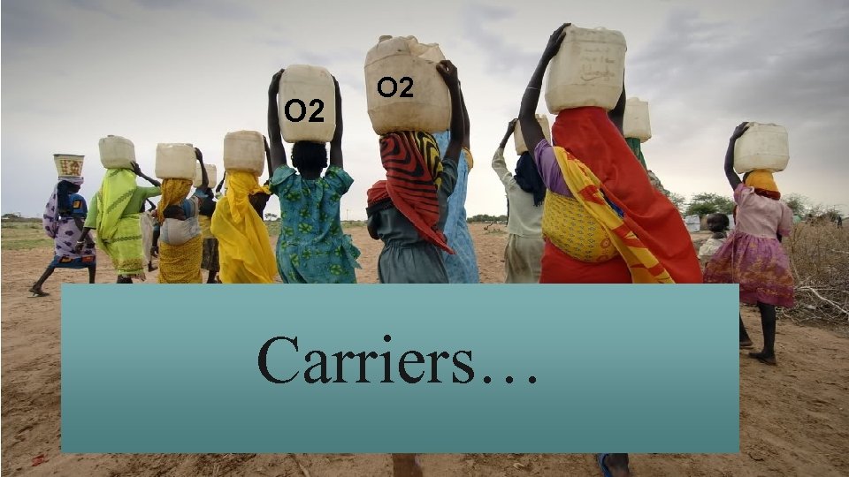 O 2 Carriers… 