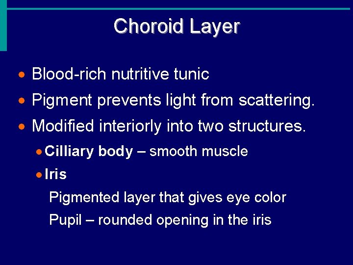 Choroid Layer · Blood-rich nutritive tunic · Pigment prevents light from scattering. · Modified