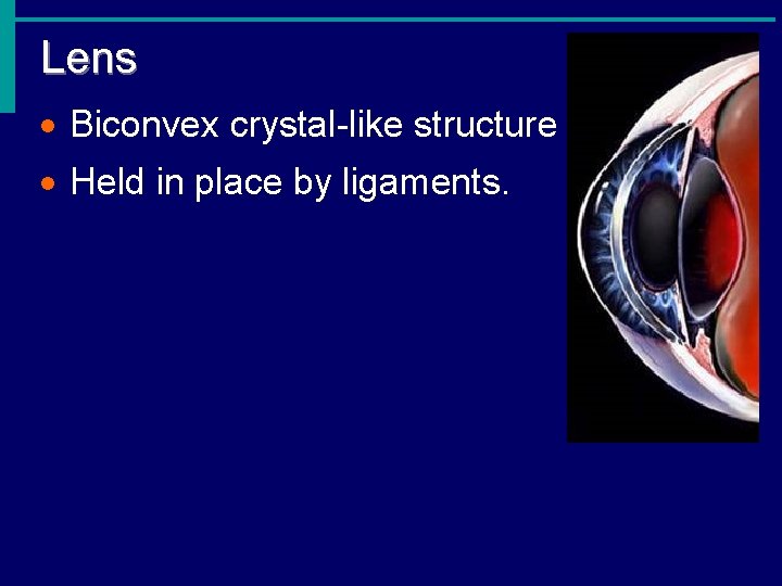 Lens · Biconvex crystal-like structure · Held in place by ligaments. 