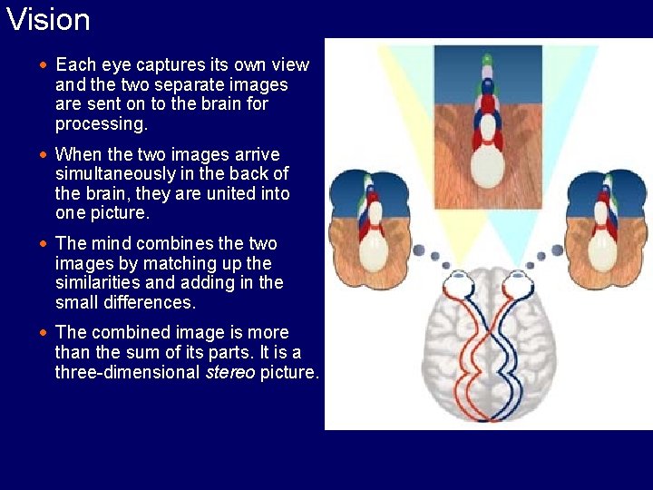 Vision · Each eye captures its own view and the two separate images are