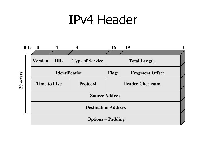 IPv 4 Header 