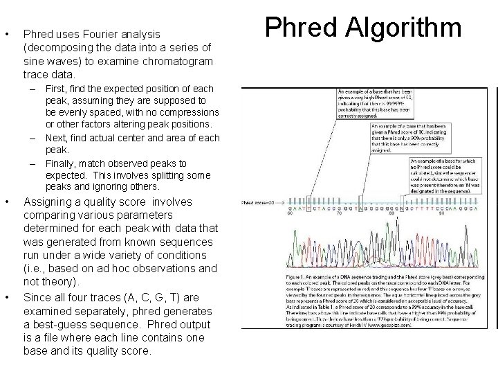  • Phred uses Fourier analysis (decomposing the data into a series of sine