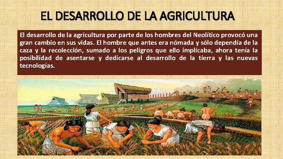 EL DESARROLLO DE LA AGRICULTURA El desarrollo de la agricultura por parte de los