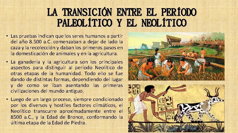 LA TRANSICIÓN PALEOLÍTICO ENTRE EL PERÍODO Y EL NEOLÍTICO • Las pruebas indican que
