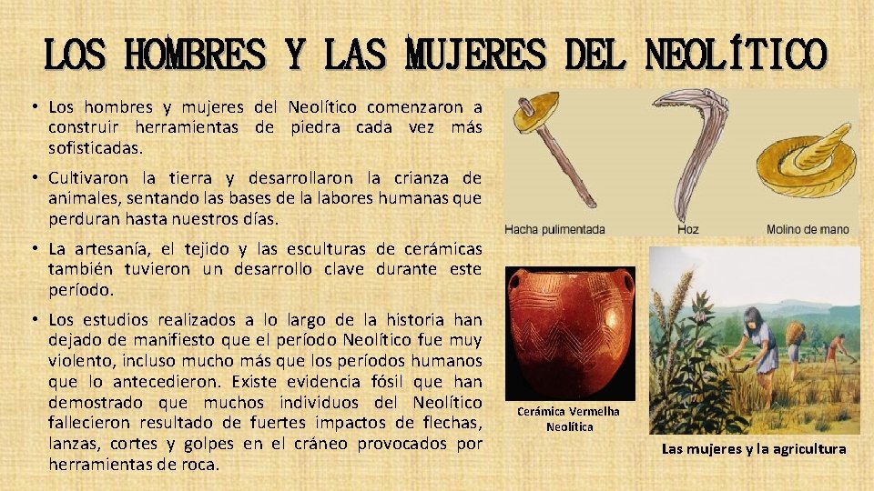 LOS HOMBRES Y LAS MUJERES DEL NEOLÍTICO • Los hombres y mujeres del Neolítico