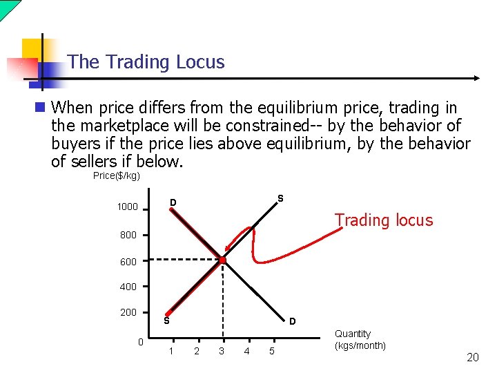 The Trading Locus n When price differs from the equilibrium price, trading in the