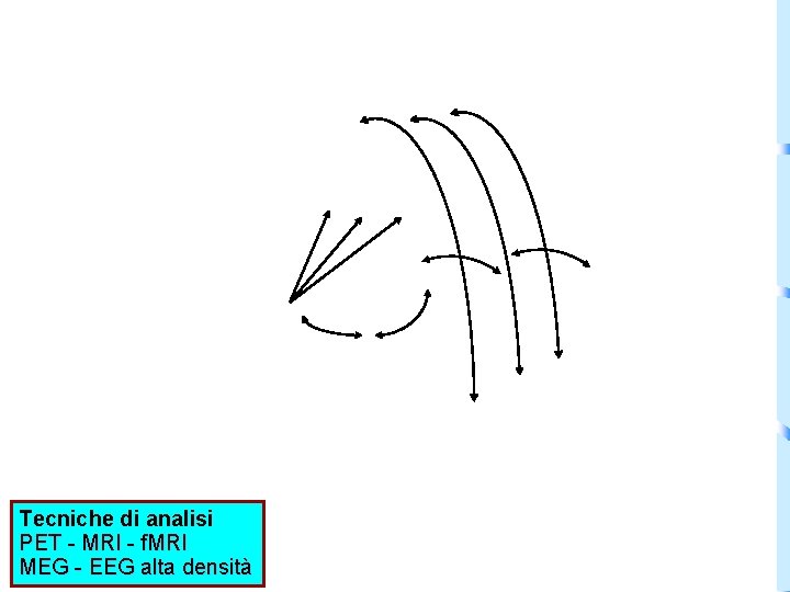 Tecniche di analisi PET - MRI - f. MRI MEG - EEG alta densità