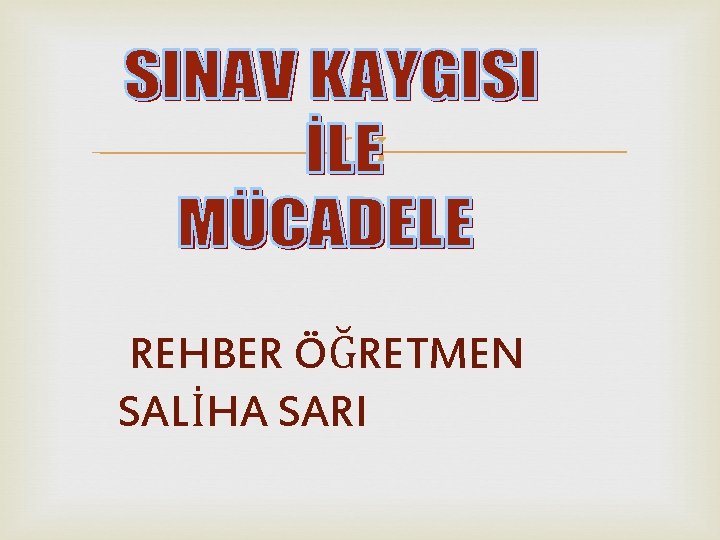  REHBER ÖĞRETMEN SALİHA SARI 