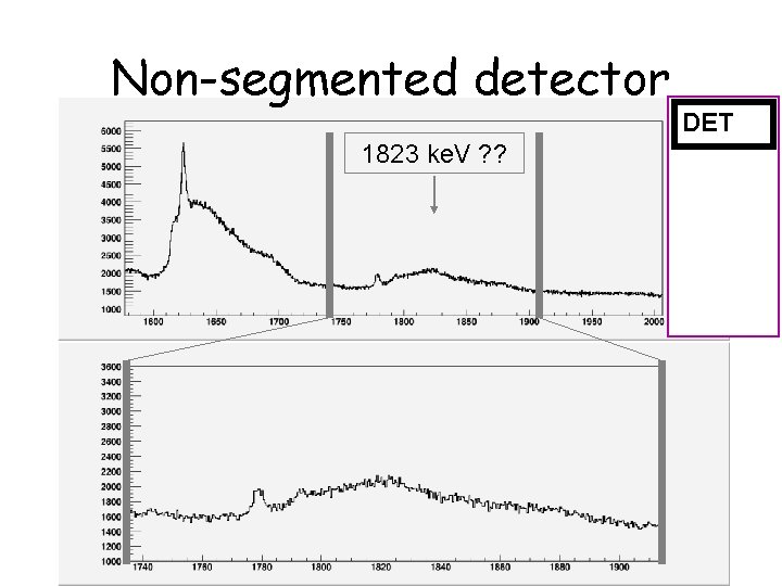 Non-segmented detector DET 1823 ke. V ? ? 