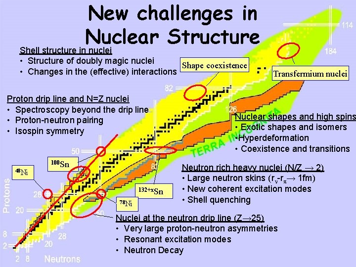 New challenges in Nuclear Structure Shell structure in nuclei • Structure of doubly magic