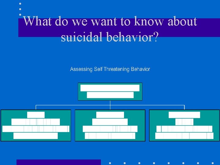 What do we want to know about suicidal behavior? 