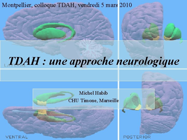 Montpellier, colloque TDAH, vendredi 5 mars 2010 TDAH : une approche neurologique Michel Habib