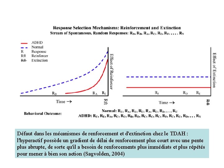 Défaut dans les mécanismes de renforcement et d'extinction chez le TDAH : l'hyperactif possède
