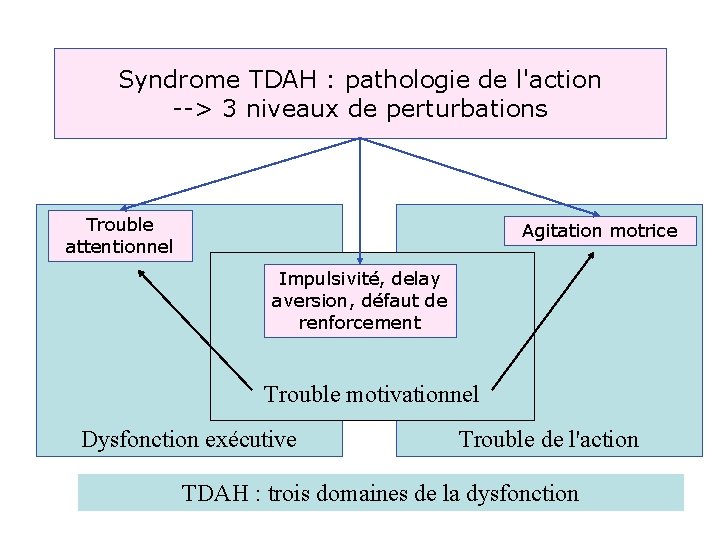 Syndrome TDAH : pathologie de l'action --> 3 niveaux de perturbations Trouble attentionnel Agitation