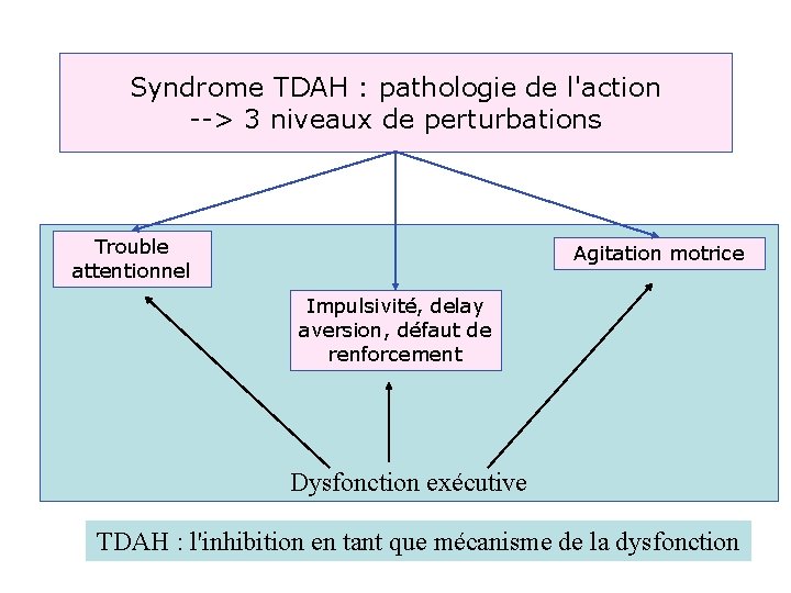 Syndrome TDAH : pathologie de l'action --> 3 niveaux de perturbations Trouble attentionnel Agitation