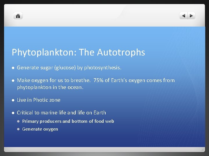 Phytoplankton: The Autotrophs l Generate sugar (glucose) by photosynthesis. l Make oxygen for us