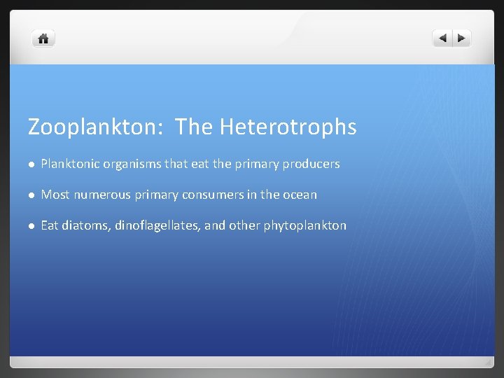 Zooplankton: The Heterotrophs l Planktonic organisms that eat the primary producers l Most numerous