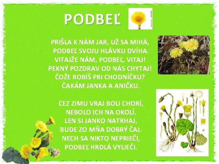 PODBEĽ PRIŠLA K NÁM JAR, UŽ SA MIHÁ, PODBEĽ SVOJU HLÁVKU DVÍHA. VITAJŽE NÁM,