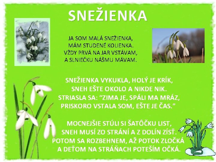 SNEŽIENKA JA SOM MALÁ SNEŽIENKA, MÁM STUDENÉ KOLIENKA. VŽDY PRVÁ NA JAR VSTÁVAM, A