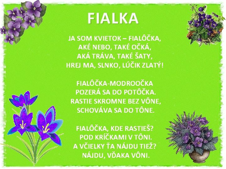 FIALKA JA SOM KVIETOK – FIALÔČKA, AKÉ NEBO, TAKÉ OČKÁ, AKÁ TRÁVA, TAKÉ ŠATY,